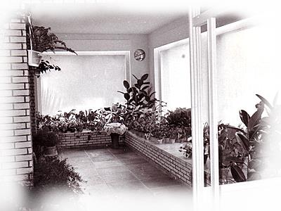 Detailfoto aus dem Fotoalbum der Firmengeschichte unseres Blumengeschäfts